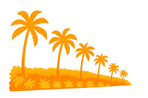 Palm Trees