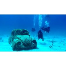 Tour 28. Cancun The Musa & Isla Mujeres Scuba Diving
