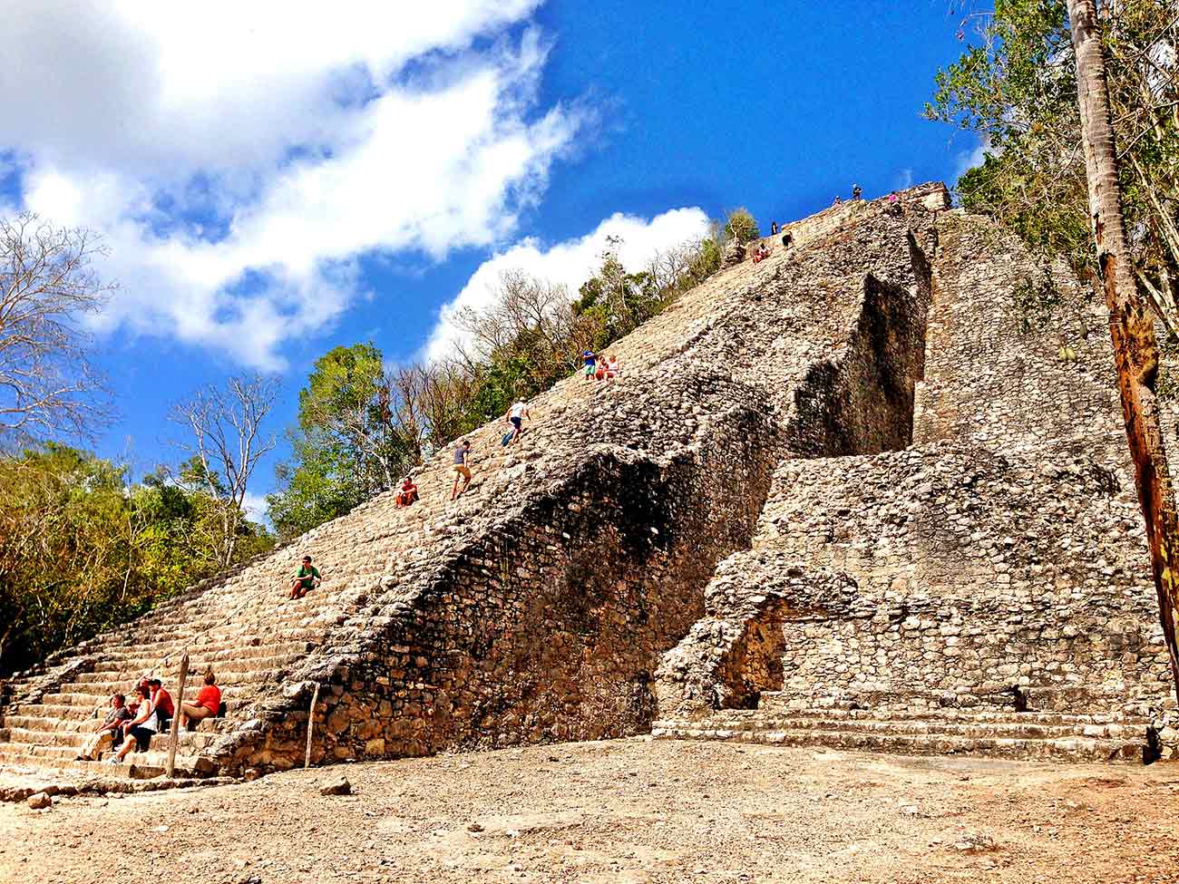 Tour G. Coba and Cenote Tamcach ha & Mayan Village | Group Discount Rate $165.US dollars per person